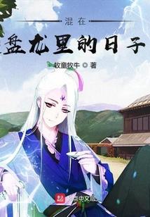 混在盘龙里的日子