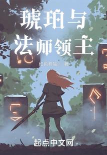 琥珀与法师领主