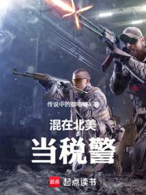 北美税警：我武力平账