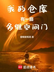我的仓库有一扇多维空间门