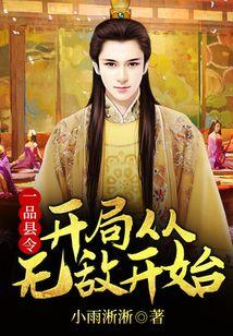 一品县令：开局从无敌开始