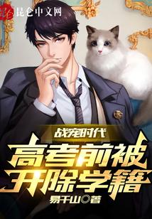 战宠时代：高考前被开除学籍