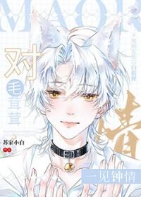 对毛茸茸一见钟情