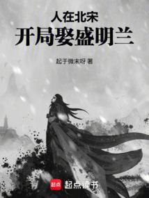 人在北宋，开局娶盛明兰