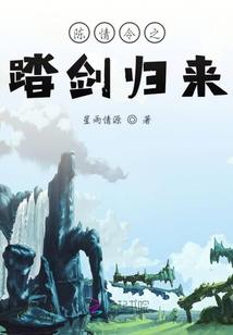 陈情令之踏剑归来