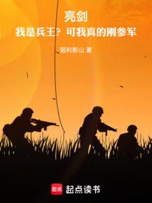 亮剑：我是兵王？可我真的刚参军