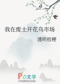 我在废土开花鸟市场