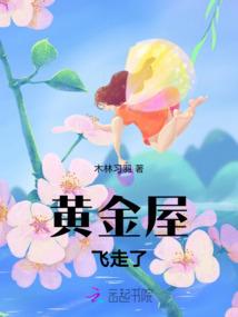 黄金屋飞走了